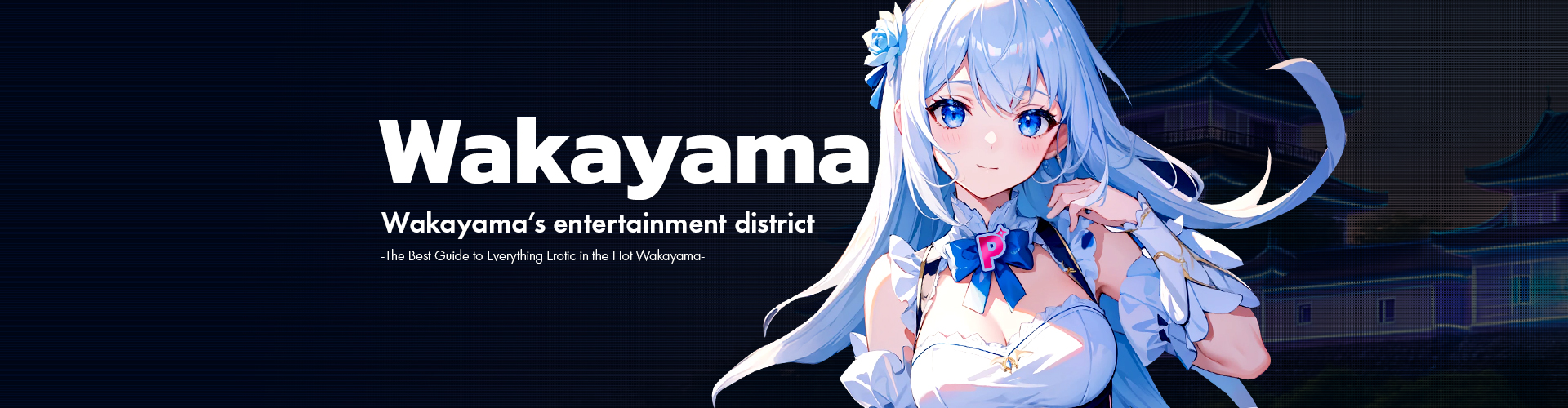 Foreign Tourist Friendly Escort Wakayama